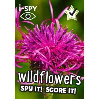 i-spy Wild Flowers