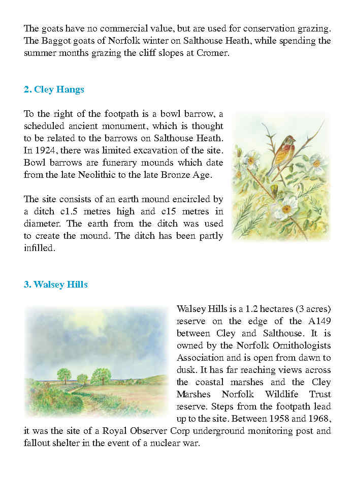 Highways and Byways: Illustrated Walks in Norfolk