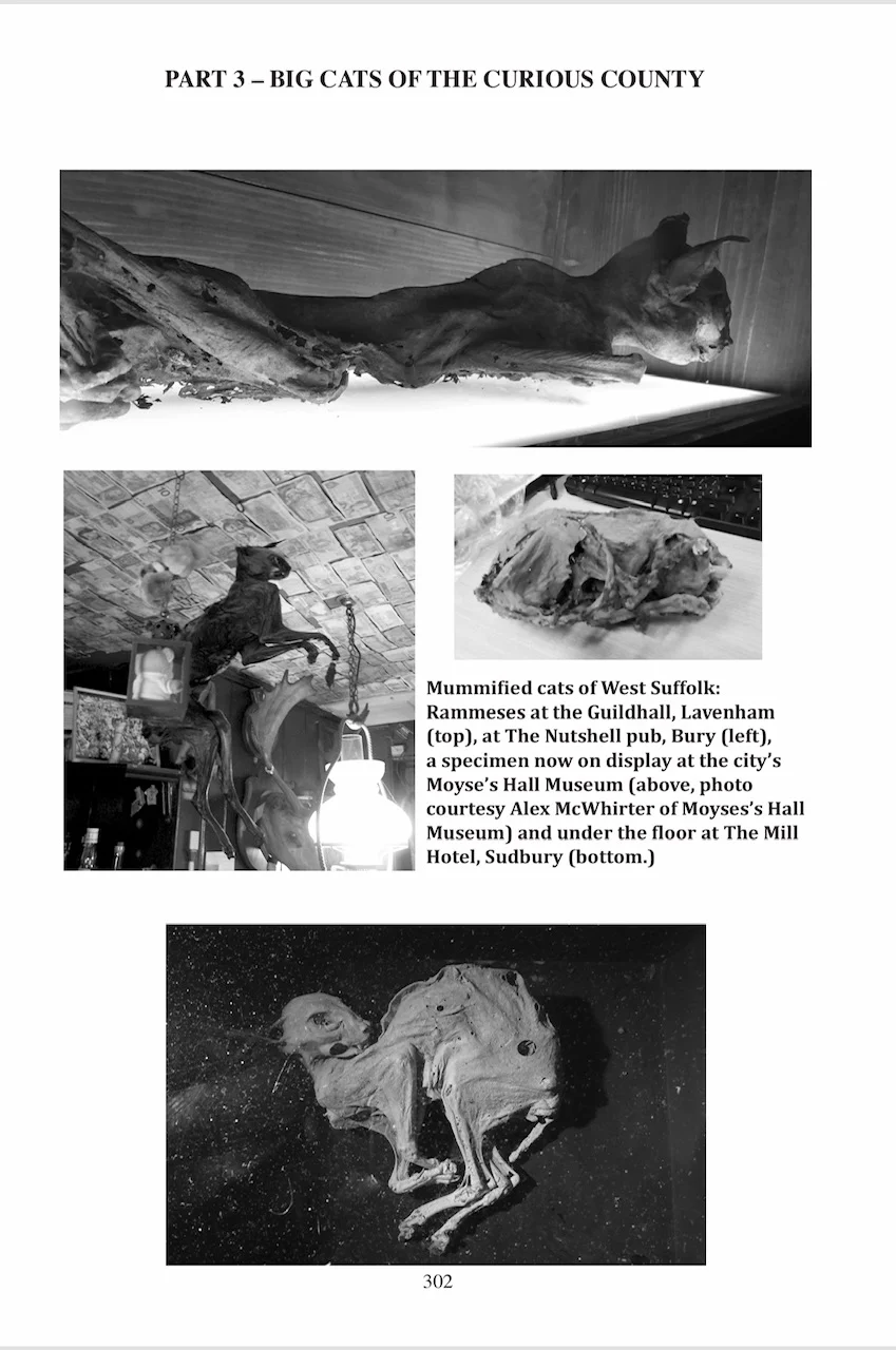 Mystery Animals of Suffolk - Image 9