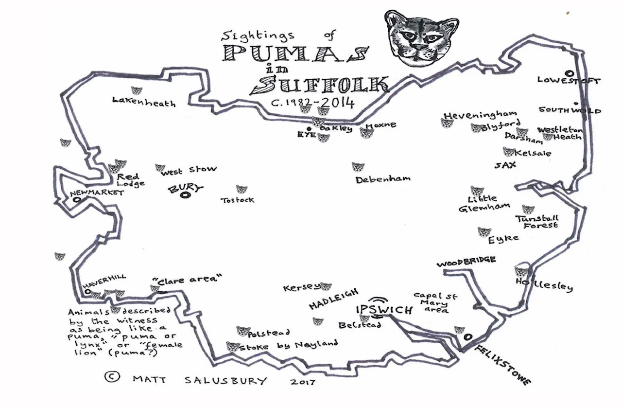 Mystery Animals of Suffolk - Image 6