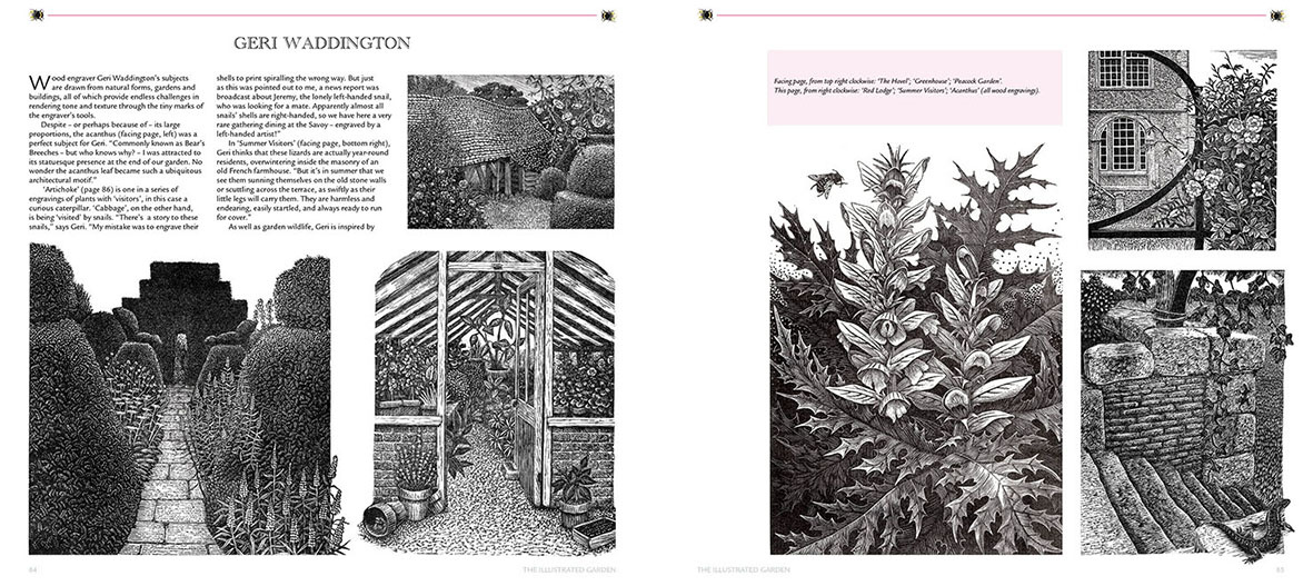The Illustrated Garden - Image 5